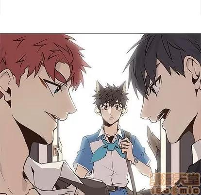 野性之城 野性之城 | 第42章 第5页