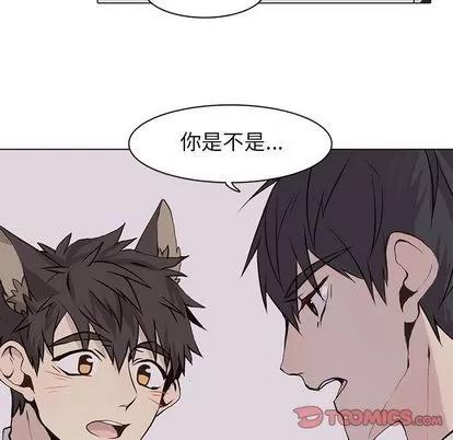 野性之城 野性之城 | 第42章 第44页