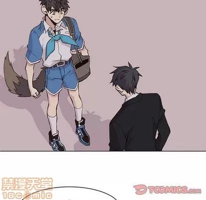 野性之城 野性之城 | 第42章 第60页
