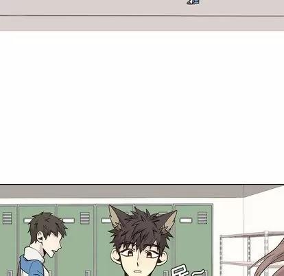 野性之城 野性之城 | 第43章 第43页