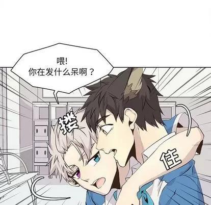 野性之城 野性之城 | 第43章 第47页