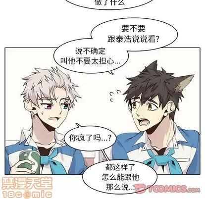 野性之城 野性之城 | 第43章 第60页
