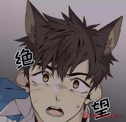 野性之城 野性之城 | 第45章 第38页