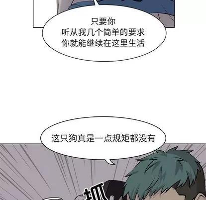 野性之城 野性之城 | 第45章 第59页
