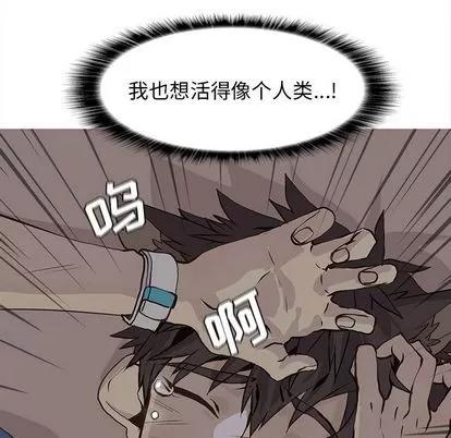 野性之城 野性之城 | 第46章 第36页