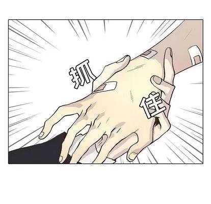 野性之城 野性之城 | 第47章 第49页