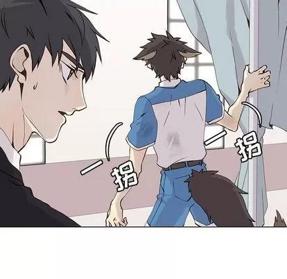 野性之城 野性之城 | 第47章 第56页