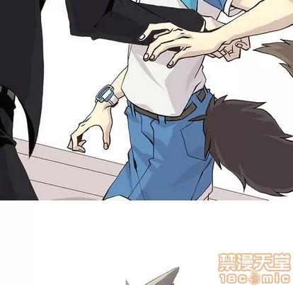 野性之城 野性之城 | 第48章 第30页