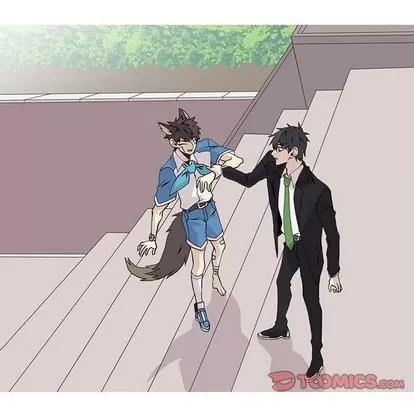野性之城 野性之城 | 第48章 第42页