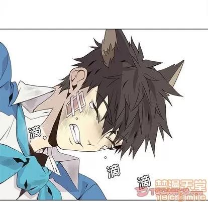 野性之城 野性之城 | 第48章 第50页