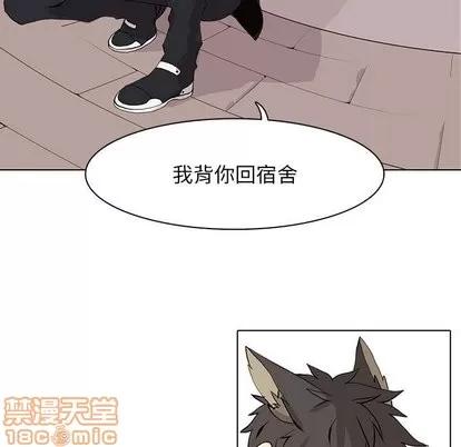 野性之城 野性之城 | 第48章 第60页