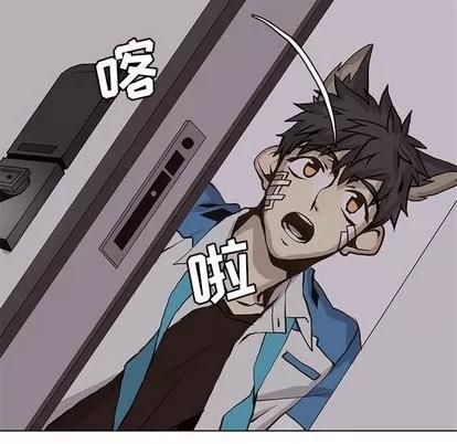 野性之城 野性之城 | 第50章 第16页
