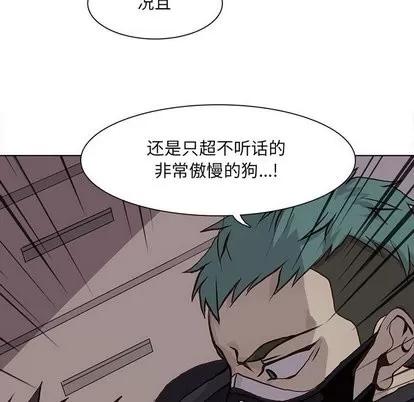 野性之城 野性之城 | 第50章 第24页
