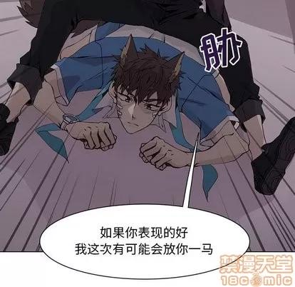 野性之城 野性之城 | 第50章 第35页