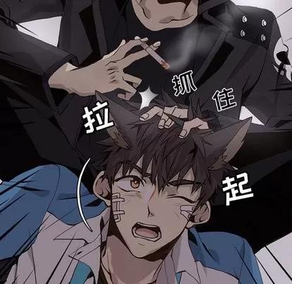 野性之城 野性之城 | 第50章 第39页