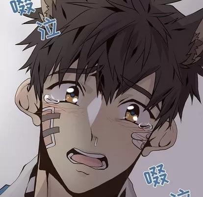 野性之城 野性之城 | 第50章 第71页
