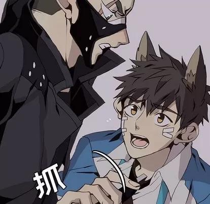野性之城 野性之城 | 第51章 第53页