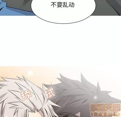 野性之城 野性之城 | 第53章 第60页