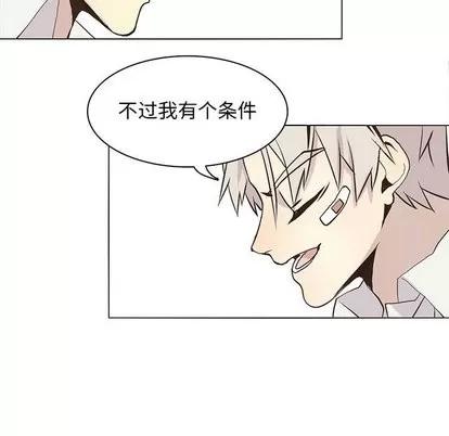 野性之城 野性之城 | 第54章 第27页