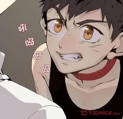 野性之城 野性之城 | 第55章 第42页