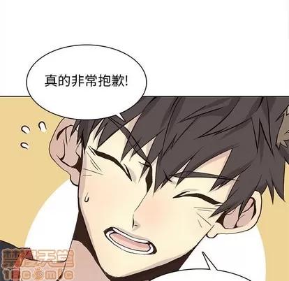 野性之城 野性之城 | 第58章 第55页