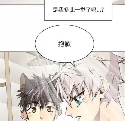 野性之城 野性之城 | 第58章 第72页