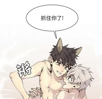 野性之城 野性之城 | 第59章 第12页