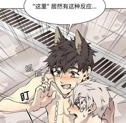 野性之城 野性之城 | 第59章 第17页