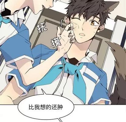 野性之城 野性之城 | 第59章 第31页