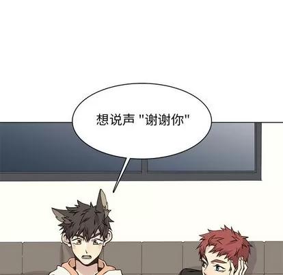野性之城 野性之城 | 第62章 第73页
