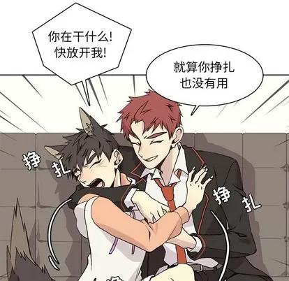 野性之城 野性之城 | 第62章 第79页