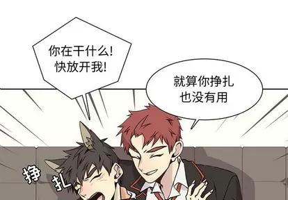 野性之城 野性之城 | 第63章 第1页