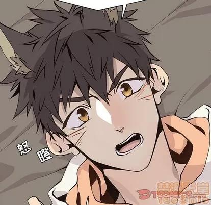 野性之城 野性之城 | 第63章 第10页
