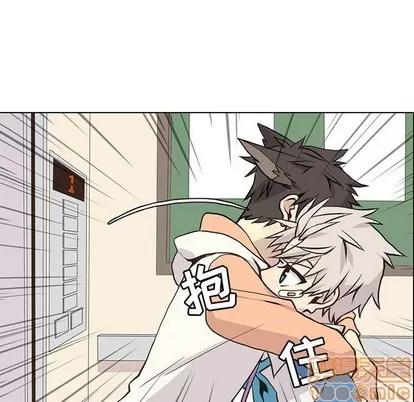 野性之城 野性之城 | 第63章 第55页