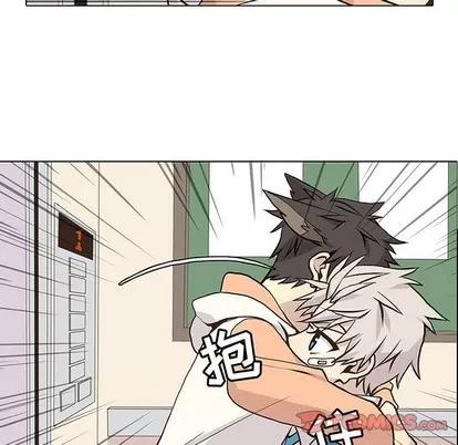 野性之城 野性之城 | 第64章 第6页