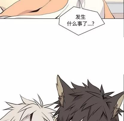 野性之城 野性之城 | 第64章 第8页