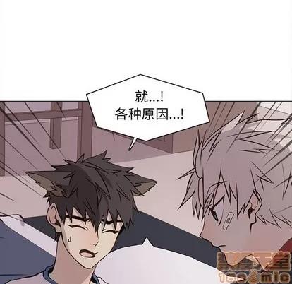 野性之城 野性之城 | 第64章 第20页