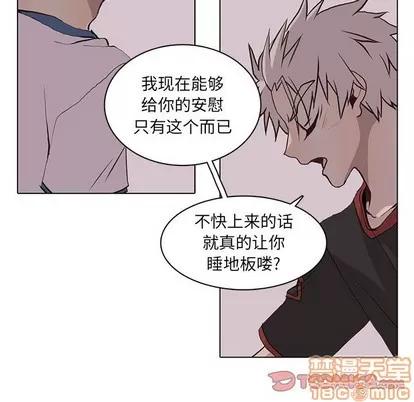 野性之城 野性之城 | 第64章 第30页