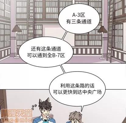 野性之城 野性之城 | 第65章 第25页