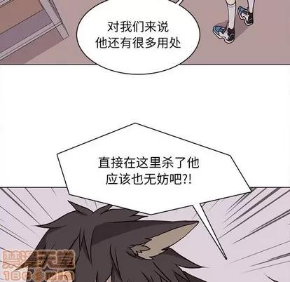 野性之城 野性之城 | 第66章 第55页