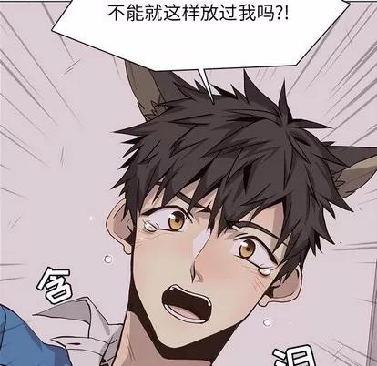 野性之城 野性之城 | 第66章 第69页