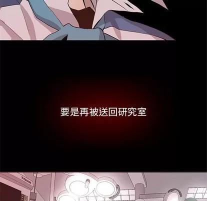 野性之城 野性之城 | 第67章 第36页