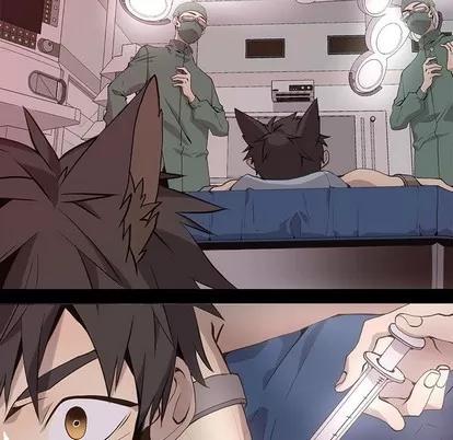 野性之城 野性之城 | 第67章 第37页