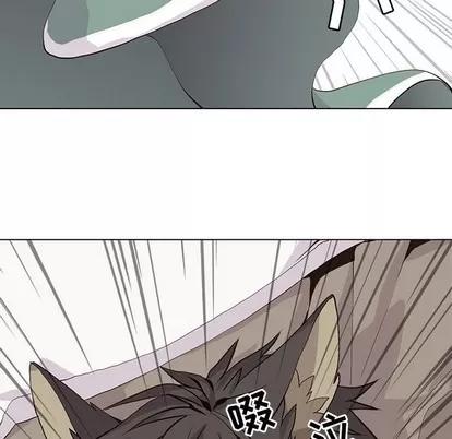 野性之城 野性之城 | 第68章 第36页