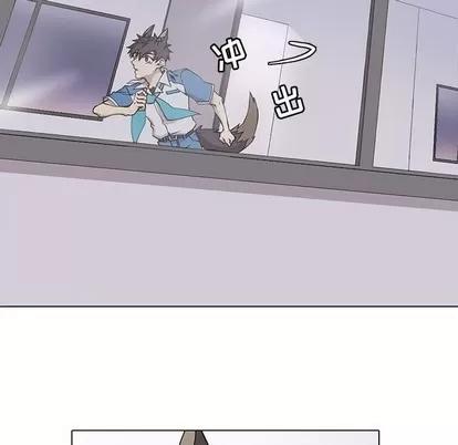 野性之城 野性之城 | 第69章 第24页