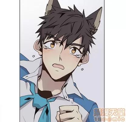 野性之城 野性之城 | 第69章 第25页