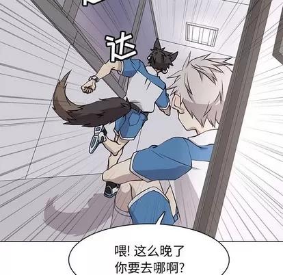 野性之城 野性之城 | 第69章 第27页