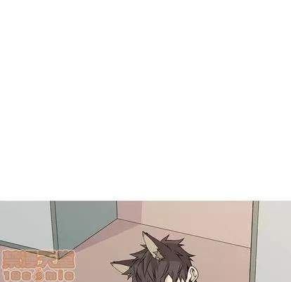 野性之城 野性之城 | 第70章 第25页
