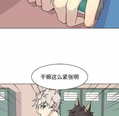 野性之城 野性之城 | 第70章 第28页