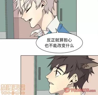野性之城 野性之城 | 第70章 第30页